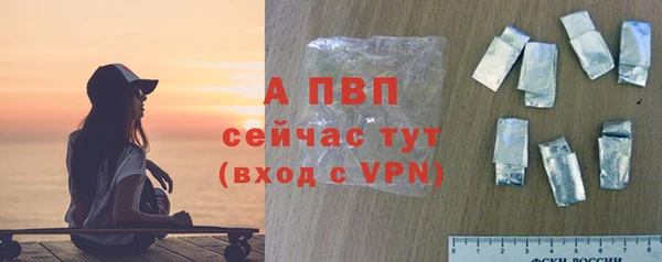 прущие грибы Богородск