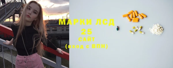 прущие грибы Богородск