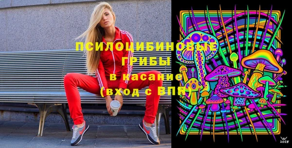 прущие грибы Богородск