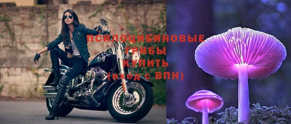 СК Богородицк