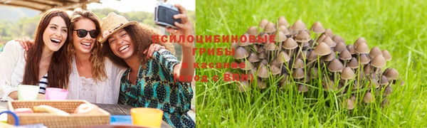 кокаин колумбия Богданович
