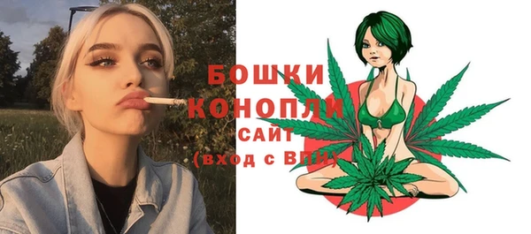 прущие грибы Богородск