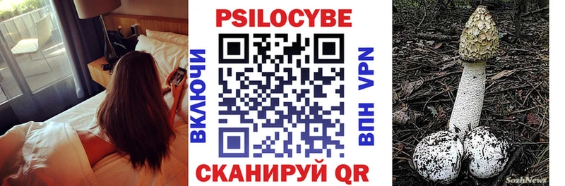 Галлюциногенные грибы Psilocybine cubensis  Пионерский 